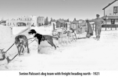 11-1921-PalssonDog-team