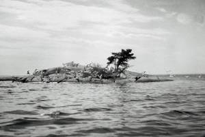 Sigurdson Island